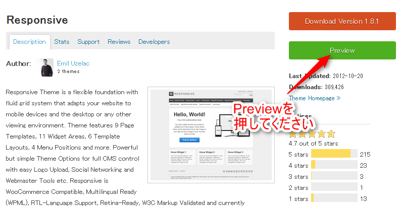 WordPress Theme