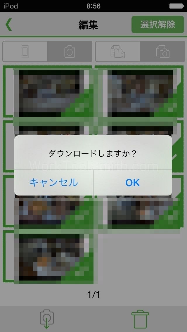 qbic 008