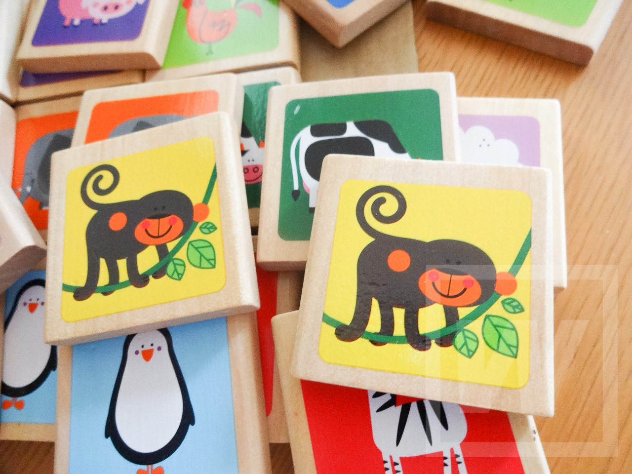 Hape メモリーゲーム Review 005