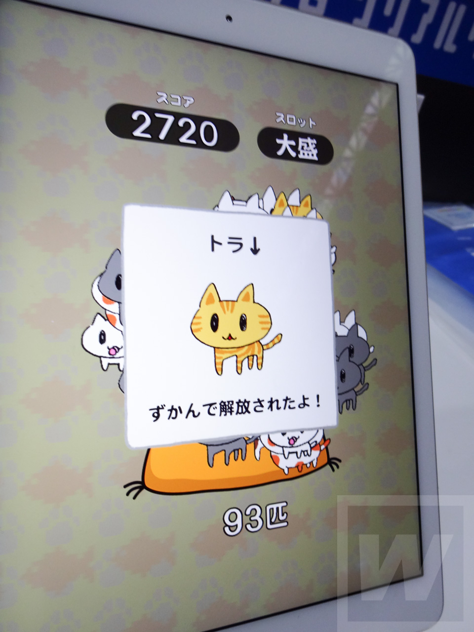 TGS2015 ネコパイル Review 023