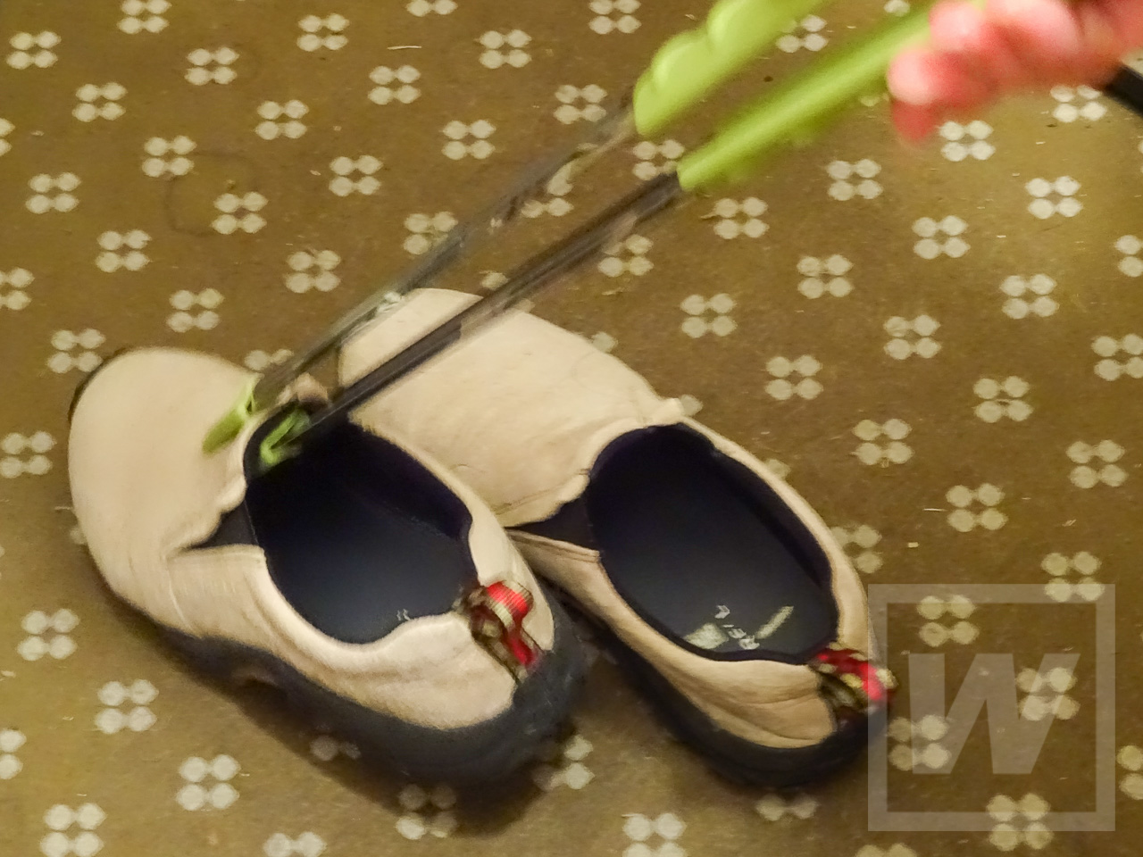 Review 006